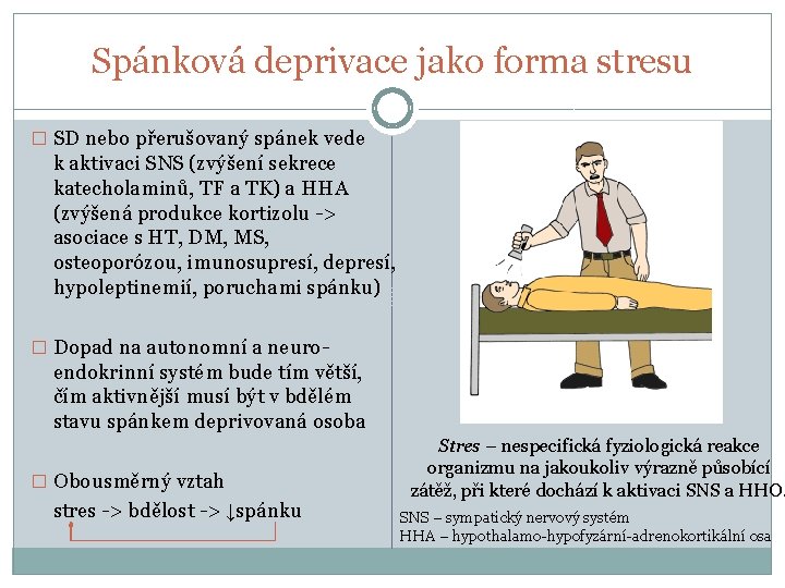 Spánková deprivace jako forma stresu � SD nebo přerušovaný spánek vede k aktivaci SNS