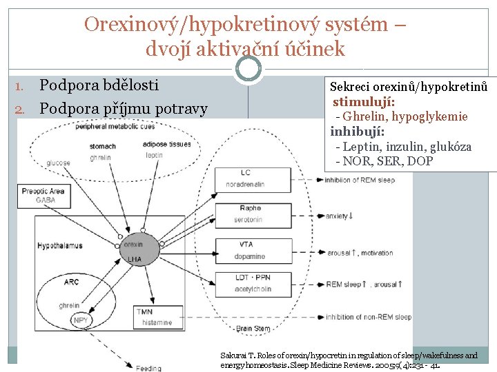 Orexinový/hypokretinový systém – dvojí aktivační účinek Podpora bdělosti 2. Podpora příjmu potravy 1. Sekreci