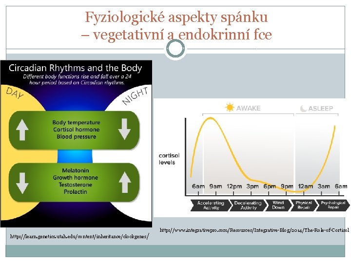 Fyziologické aspekty spánku – vegetativní a endokrinní fce http: //www. integrativepro. com/Resources/Integrative-Blog/2014/The-Role-of-Cortisol http: //learn.