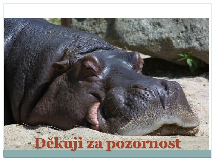 Děkuji za pozornost 