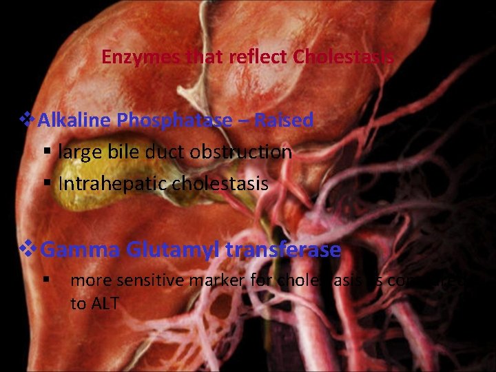 Enzymes that reflect Cholestasis v. Alkaline Phosphatase – Raised § large bile duct obstruction