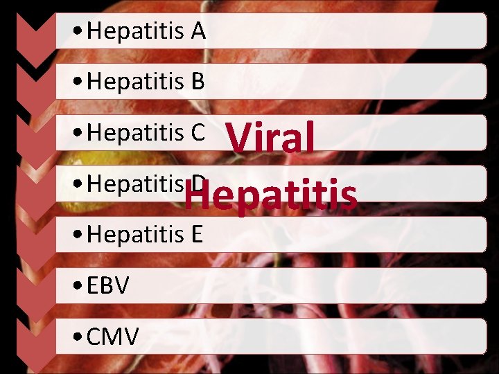  • Hepatitis A • Hepatitis B Viral • Hepatitis D Hepatitis • Hepatitis