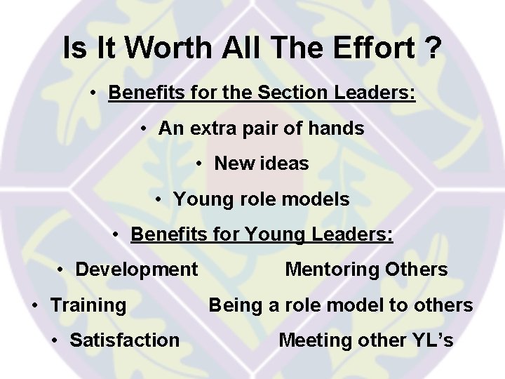 Is It Worth All The Effort ? • Benefits for the Section Leaders: •