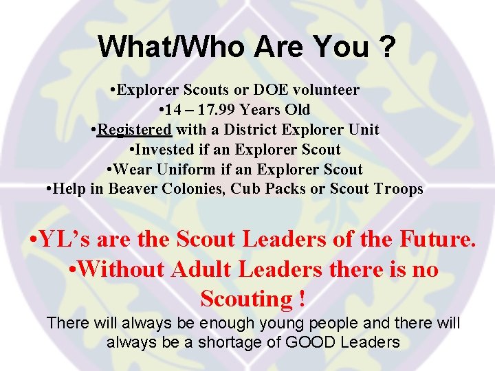 What/Who Are You ? • Explorer Scouts or DOE volunteer • 14 – 17.