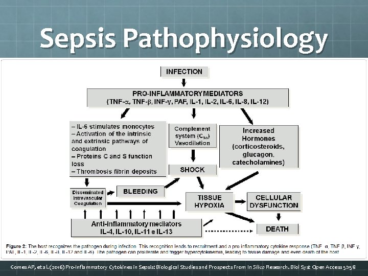 Sepsis Pathophysiology Gomes AP, et al. (2016) Pro-Inflammatory Cytokines in Sepsis: Biological Studies and