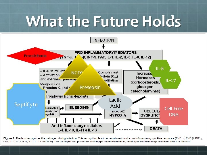 What the Future Holds Procalcitonin IL-8 NCD 64 IL-27 Presepsin Septi. Cyte Lactic Acid