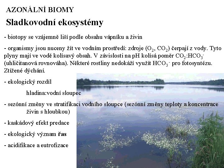 AZONÁLNÍ BIOMY Sladkovodní ekosystémy - biotopy se vzájemně liší podle obsahu vápníku a živin
