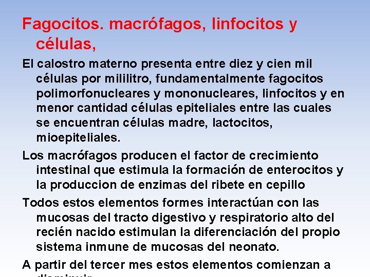 Fagocitos. macrófagos, linfocitos y células, El calostro materno presenta entre diez y cien mil