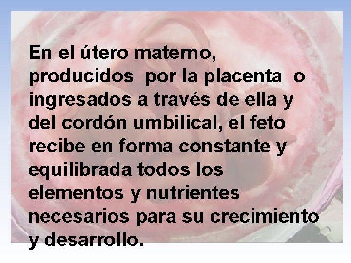 En el útero materno, producidos por la placenta o ingresados a través de ella