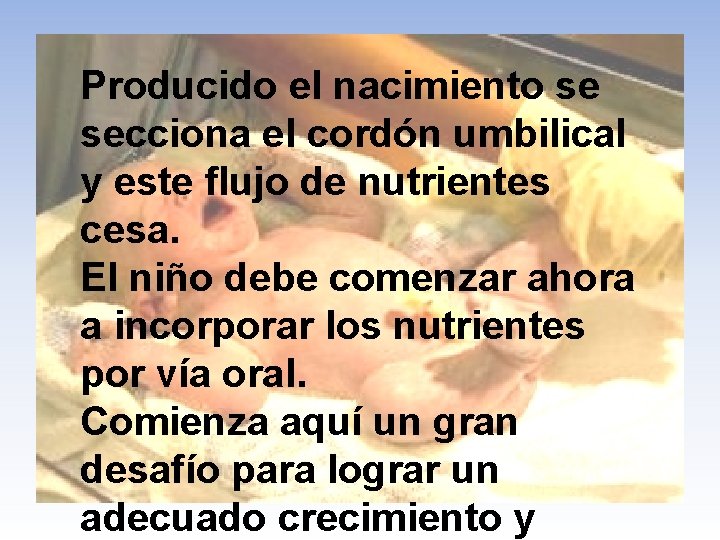 Producido el nacimiento se secciona el cordón umbilical y este flujo de nutrientes cesa.