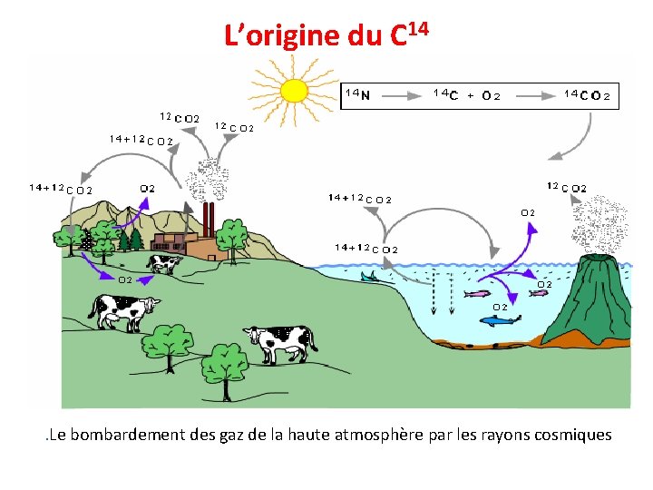 L’origine du C 14 . Le bombardement des gaz de la haute atmosphère par