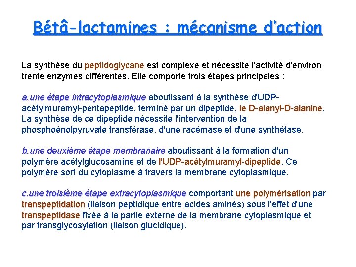 Bétâ-lactamines : mécanisme d’action La synthèse du peptidoglycane est complexe et nécessite l'activité d'environ