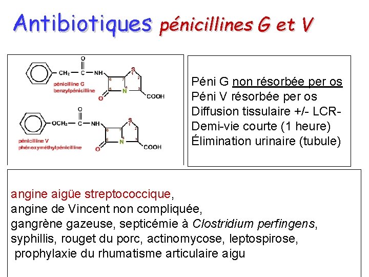 Antibiotiques pénicillines G et V Péni G non résorbée per os Péni V résorbée