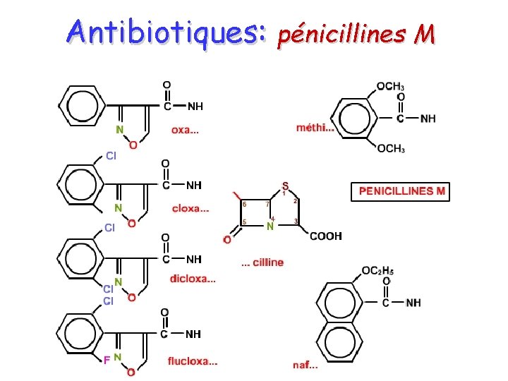 Antibiotiques: pénicillines M 