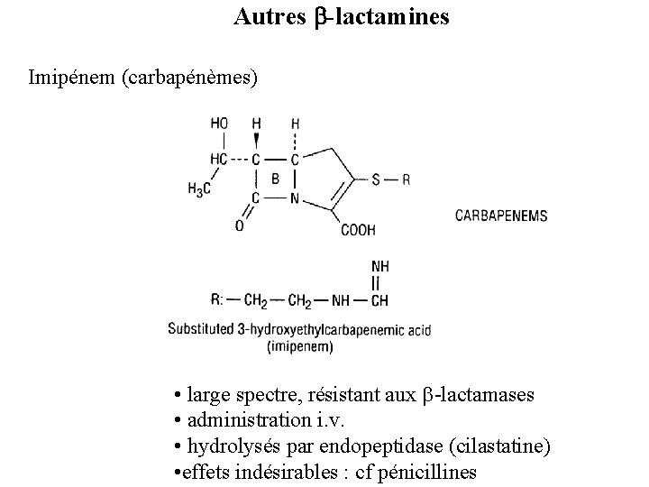 Autres -lactamines Imipénem (carbapénèmes) • large spectre, résistant aux -lactamases • administration i. v.