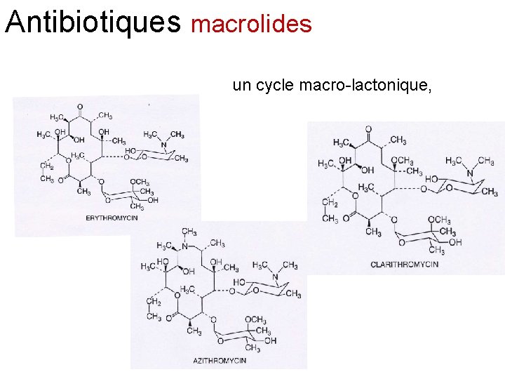 Antibiotiques macrolides un cycle macro-lactonique, 