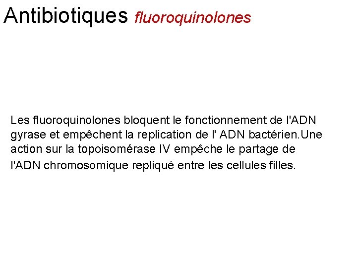 Antibiotiques fluoroquinolones Les fluoroquinolones bloquent le fonctionnement de l'ADN gyrase et empêchent la replication