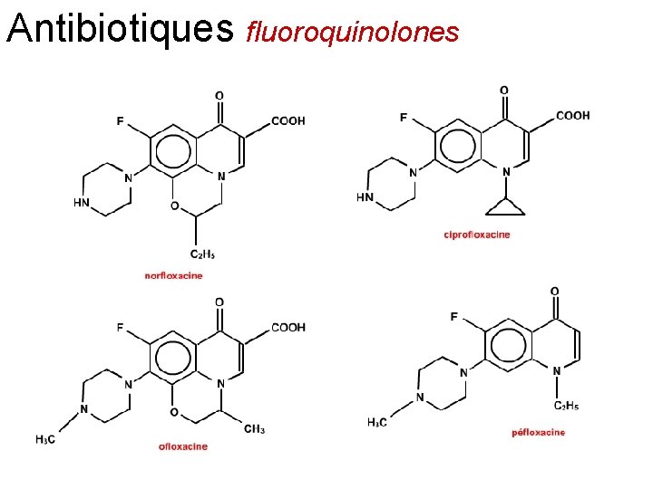 Antibiotiques fluoroquinolones 