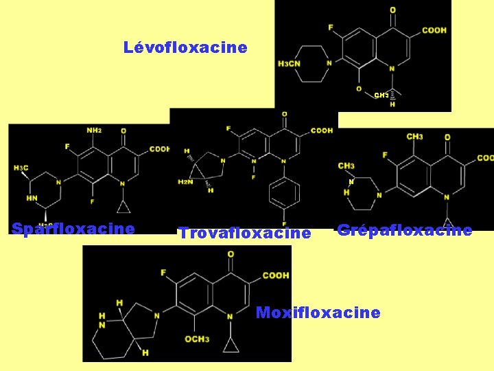 Lévofloxacine CH 3 N Sparfloxacine Trovafloxacine Grépafloxacine Moxifloxacine 