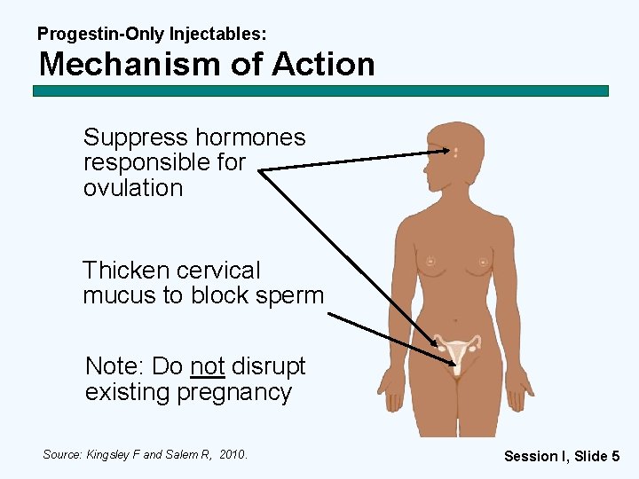 Progestin-Only Injectables: Mechanism of Action Suppress hormones responsible for ovulation Thicken cervical mucus to