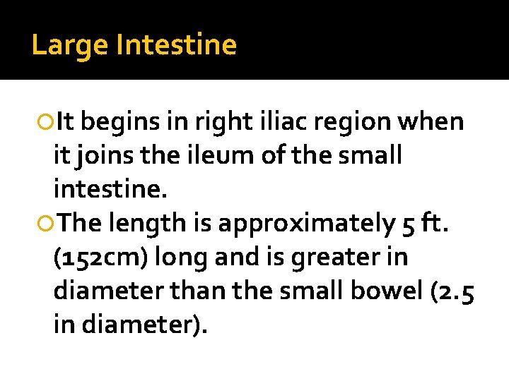 Large Intestine It begins in right iliac region when it joins the ileum of