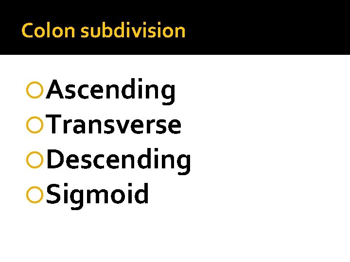 Colon subdivision Ascending Transverse Descending Sigmoid 