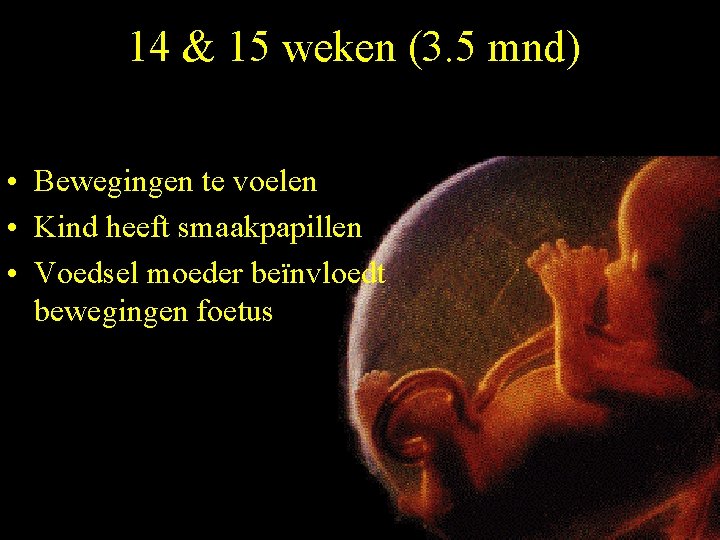 14 & 15 weken (3. 5 mnd) • Bewegingen te voelen • Kind heeft