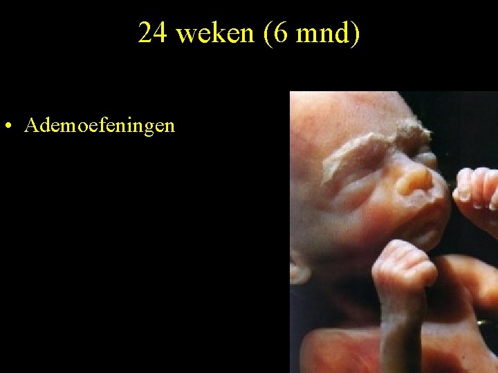 24 weken (6 mnd) • Ademoefeningen 