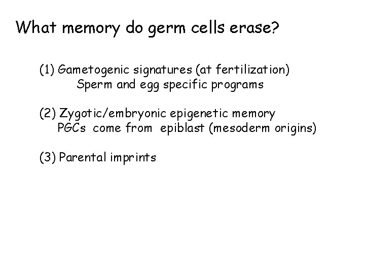 What memory do germ cells erase? (1) Gametogenic signatures (at fertilization) Sperm and egg