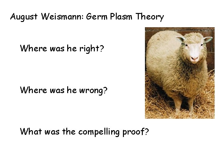 August Weismann: Germ Plasm Theory Where was he right? Where was he wrong? What