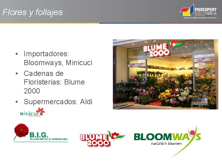 Flores y follajes • Importadores: Bloomways, Minicuci • Cadenas de Floristerias: Blume 2000 •