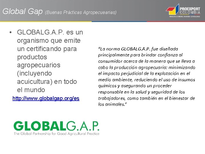 Global Gap (Buenas Prácticas Agropecuearias) • GLOBALG. A. P. es un organismo que emite