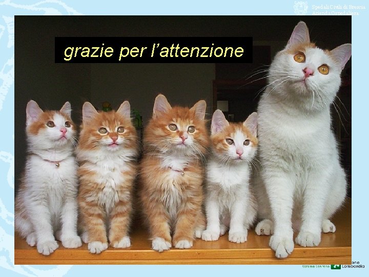 Spedali Civili di Brescia Azienda Ospedaliera grazie per l’attenzione 