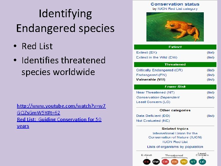 Identifying Endangered species • Red List • Identifies threatened species worldwide http: //www. youtube.