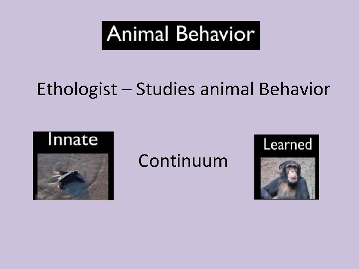 Ethologist – Studies animal Behavior Continuum 