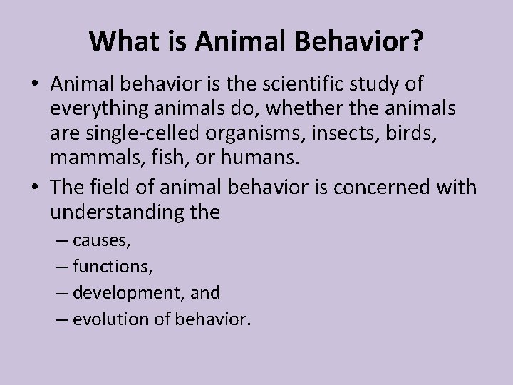 What is Animal Behavior? • Animal behavior is the scientific study of everything animals