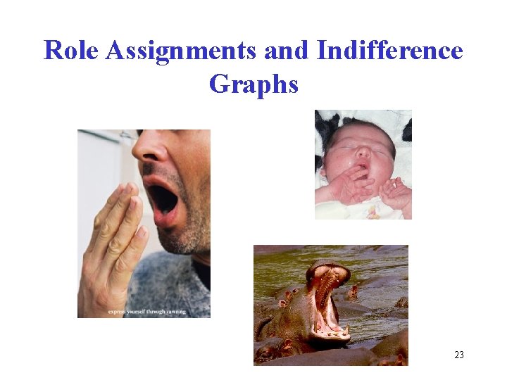 Role Assignments and Indifference Graphs 23 