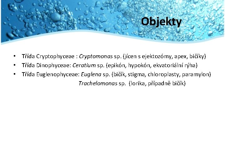 Objekty • Třída Cryptophyceae : Cryptomonas sp. (jícen s ejektozómy, apex, bičíky) • Třída