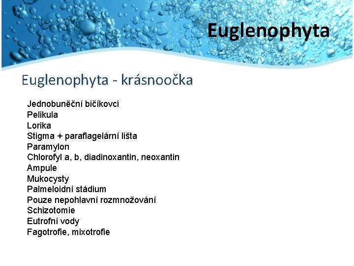 Euglenophyta - krásnoočka Jednobuněční bičíkovci Pelikula Lorika Stigma + paraflagelární lišta Paramylon Chlorofyl a,