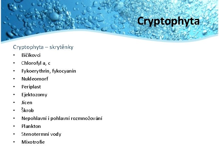 Cryptophyta – skrytěnky • • • Bičíkovci Chlorofyl a, c Fykoerythrin, fykocyanin Nukleomorf Periplast