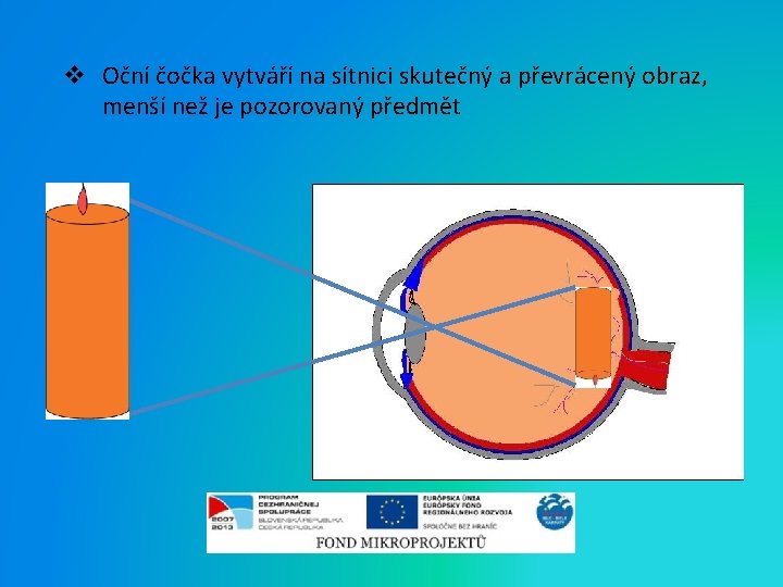 v Oční čočka vytváří na sítnici skutečný a převrácený obraz, menší než je pozorovaný