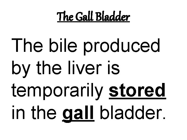 The Gall Bladder The bile produced by the liver is temporarily stored in the