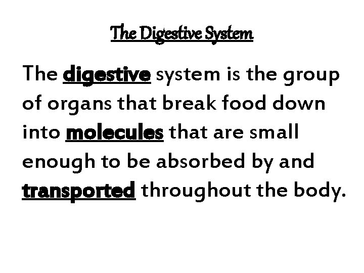 The Digestive System The digestive system is the group of organs that break food