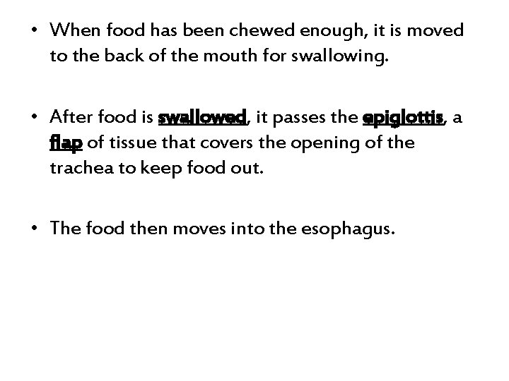 • When food has been chewed enough, it is moved to the back