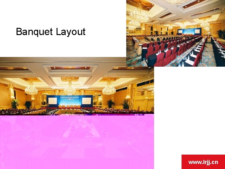 Banquet Layout www. lrjj. cn Banquet Layout www. lrjj. cn