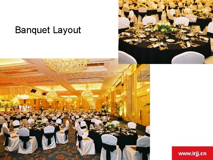 Banquet Layout www. lrjj. cn Banquet Layout www. lrjj. cn