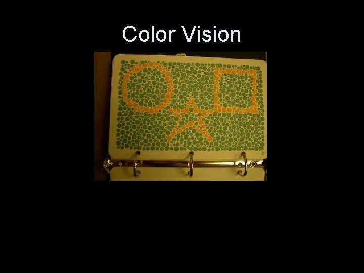 Color Vision • Photo of color vision test 