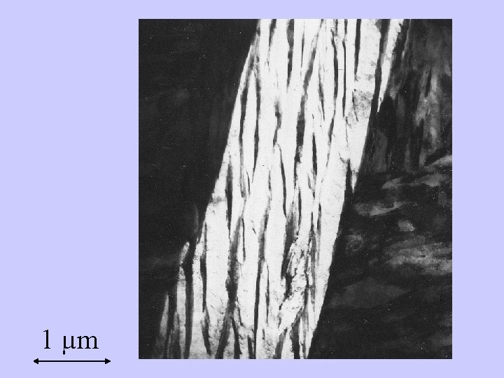 1 µm 