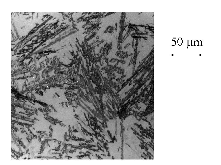50 µm 