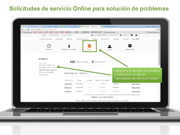 Solicitudes de servicio Online para solución de problemas Ingresa a la sección de pedidos